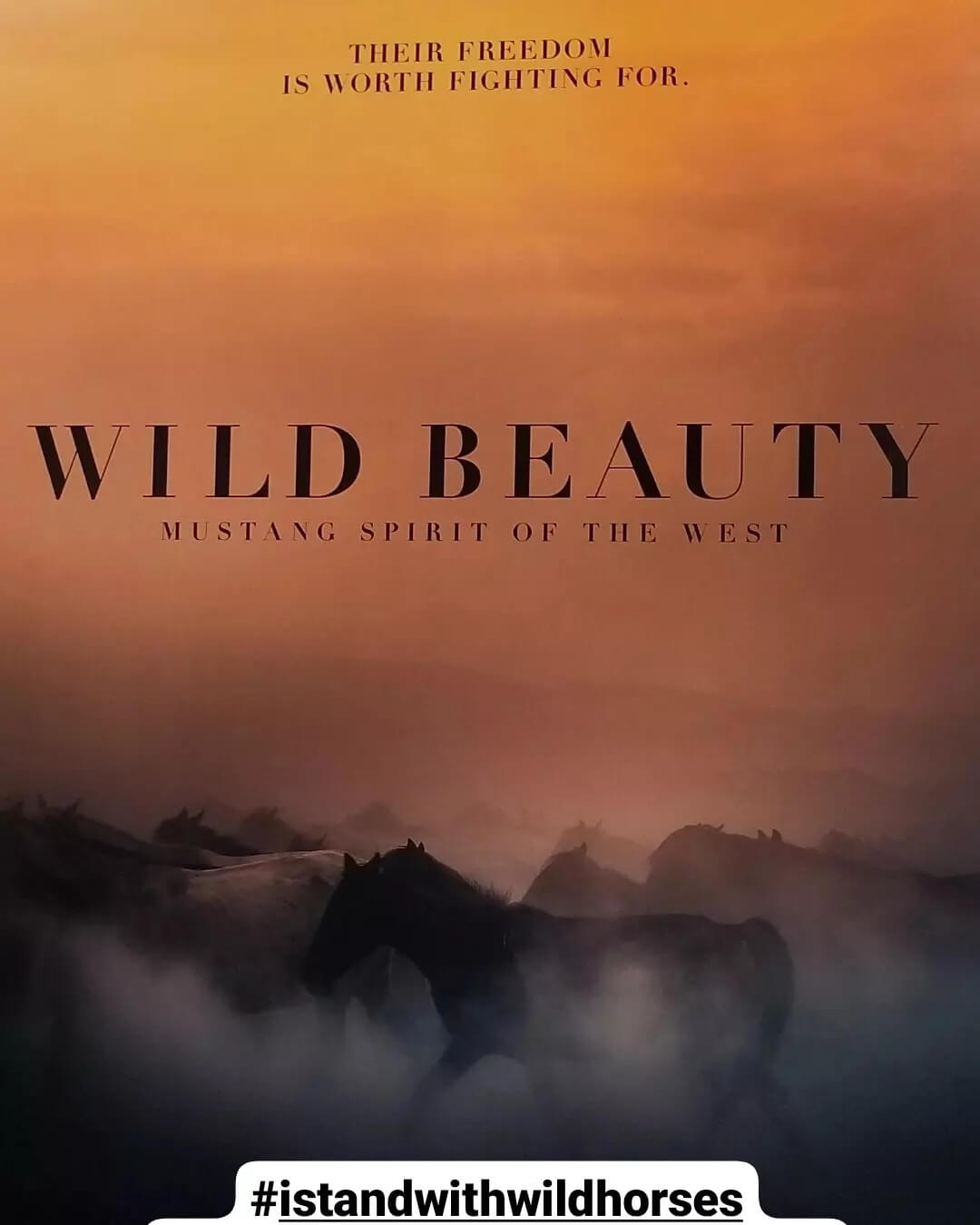 Read more about the article Oscar-contending docfilm WILD BEAUTY: MUSTANG SPIRIT OF THE WEST raise critical awareness on wild horses to protect them before they disappear